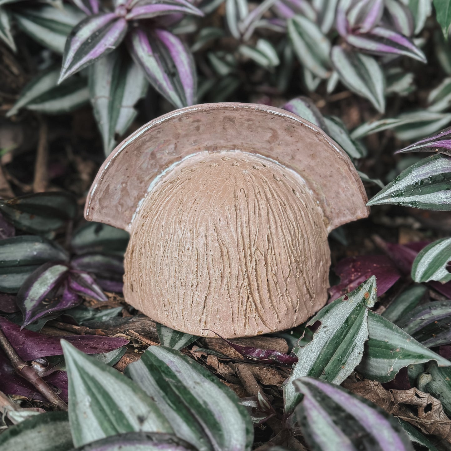 Plumajera