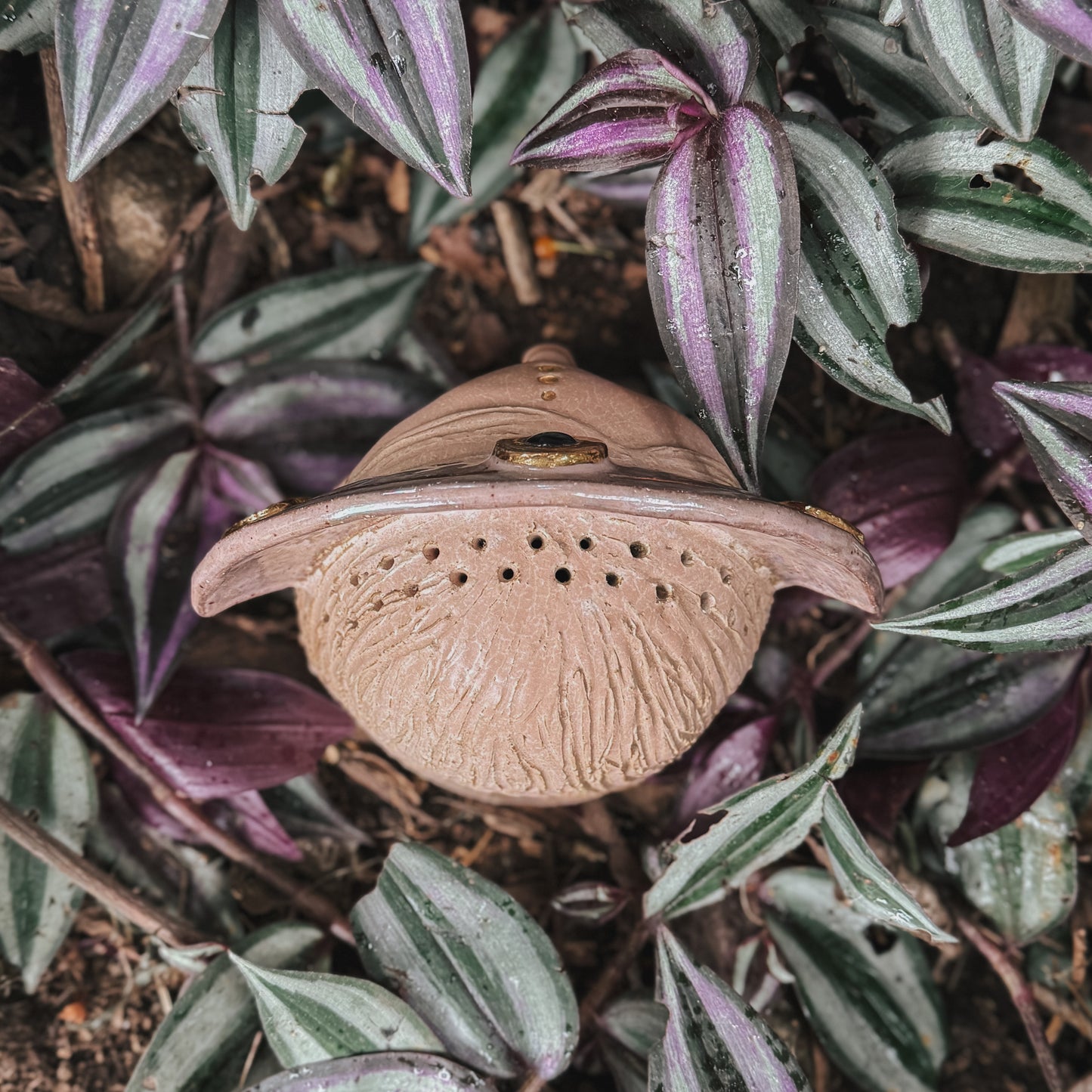 Plumajera