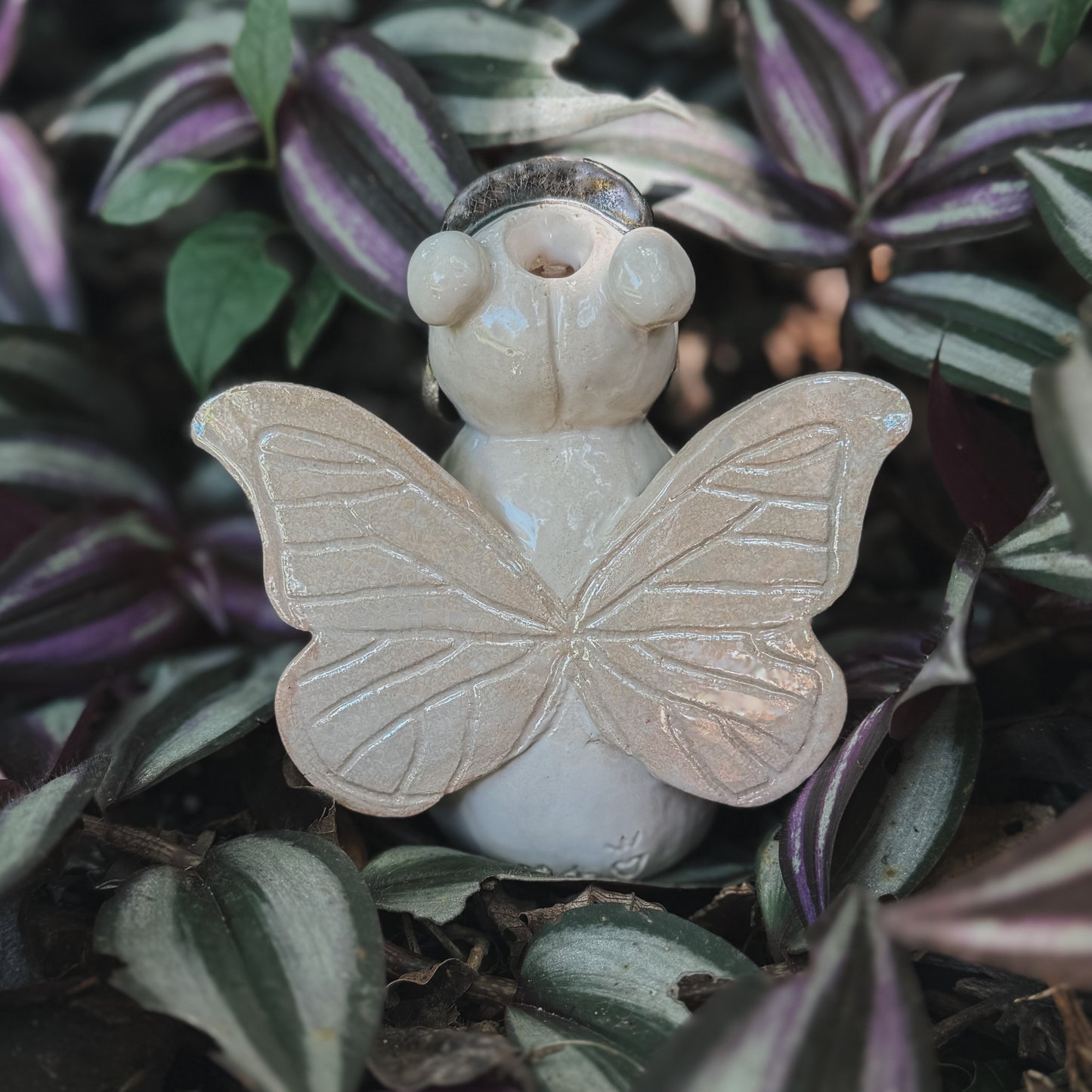 Hadita Sahumadora Mariposa
