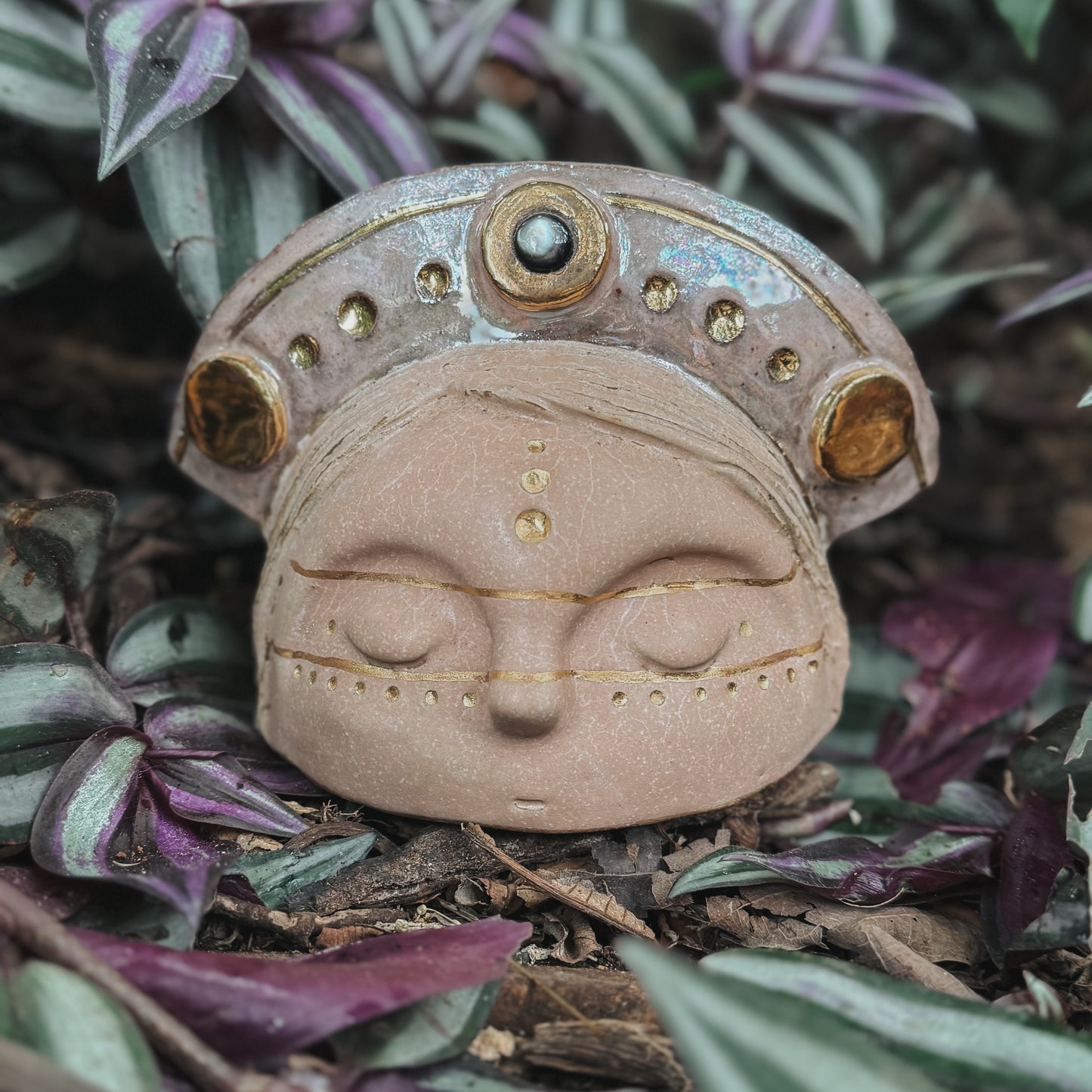 Plumajera
